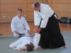 Aikido 2017 1