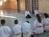 Aikido 2017 3