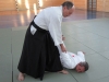 Aikido 2017 4