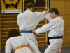 2016 Budo-Lehrgang (11)